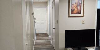 11 Willa Drive Gallery 3