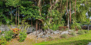 606 OWL WAY Gallery 35