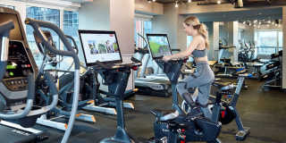 The Harlo Gallery 25