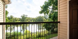 Houston Lake Gallery 10