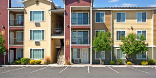 The Vintage Gallery 21