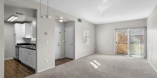 Avery at TownCentre Gallery 91