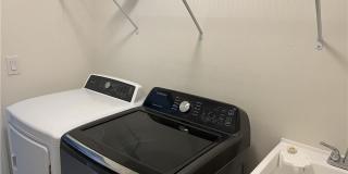 8187 Gopher Tortoise Trail Gallery 15