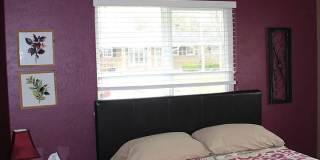 5bed 4bath updated Ranch in Bear Valley Gallery 23