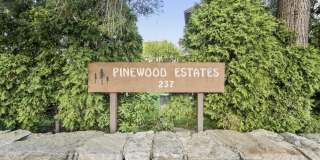 237 Strawberry Hill Avenue Gallery 34