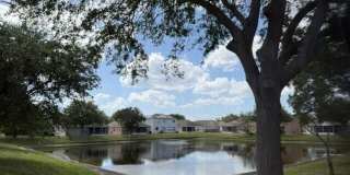 3676 Mount Carmel Lane Gallery 27