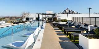 Novel Edgehill Gallery 28