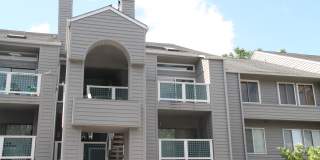 11741 Summerchase Circle Gallery 1