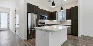 Vireo Medical District Gallery 6