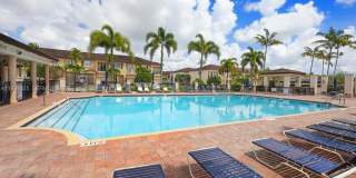 12864 SW 133rd Ter Gallery 20