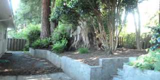 Single Level home in Arcata- Pet Friendly! Gallery 10
