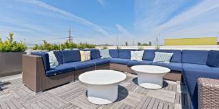 LINQ LINQ Gallery 24