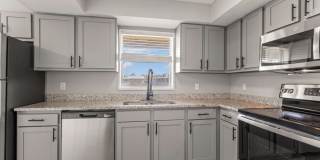 Sea Oats Sea Oats Gallery 96