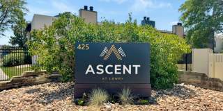 Ascent at Havana Gallery 26