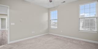 5151 Foxtail Pine Street Gallery 25