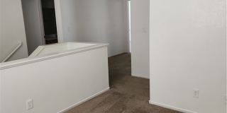 6529 ADONIS HEIGHTS Street Gallery 15