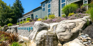 Waterscape Gallery 13