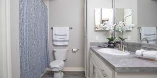 The Plaza at River Oaks Gallery 4