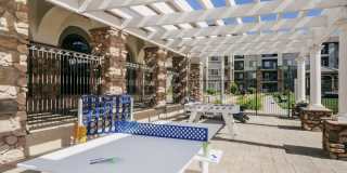 Terracina Gallery 12