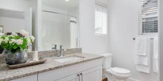 Gladstone Place Gallery 4