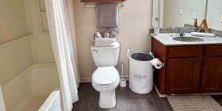 The Mandell Gallery 47