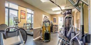 Sofi Laguna Hills Gallery 5