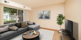 The Bungalows Gallery 9