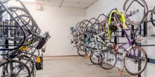 The Alder Gallery 37