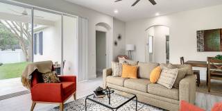 Beautifully Remodeled Citrus Park House Gallery 6