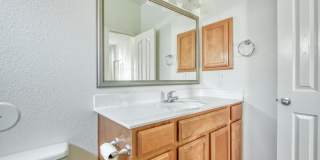 14227 BLUESKY POINT Court Gallery 16