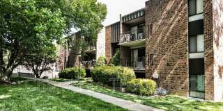7802 Dassett Ct Gallery 24