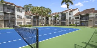 Alvista Hollywood Gallery 9