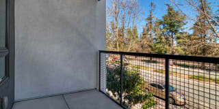 The Lex The Lex Gallery 47