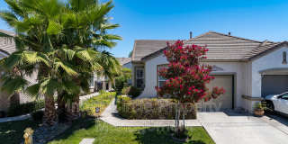 310 Upton Pyne Drive Gallery 1