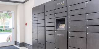 Emerson at Cherry Lane Gallery 20