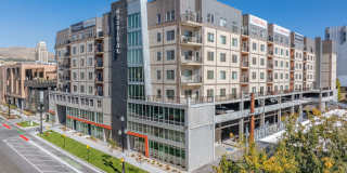 The Revival Gallery 6