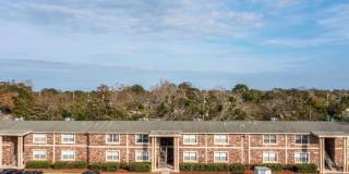 Sea Oats Sea Oats Gallery 12