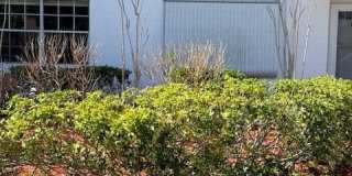 1219 S Lakes End Drive Gallery 1