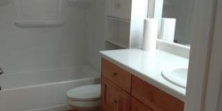 Brand New Daylight Basement Apt. Gallery 1