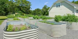 Cadia Myrtle Landing Gallery 31