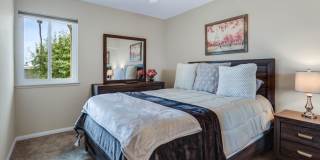 2274 N Indian Canyon Drive Gallery 23