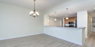 PET FRIENDLY UNFURNISHED ELEVATED PENTHOUSE LIVING WITH PRIVATE ELEVATOR Gallery 13