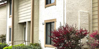 180 Park Place, Petaluma, Ca. - 3 Bedroom/1.5 Bathroom Gallery 1