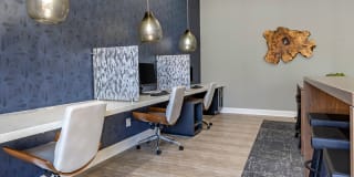 Piedmont at Ivy Meadows Gallery 14