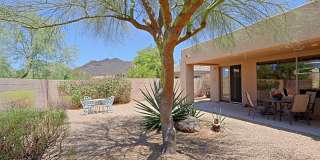 34106 N 66th Way Gallery 33