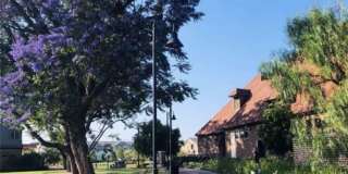 7338 Wisteria Lane Gallery 23