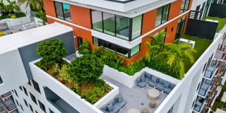 10X Las Olas Walk 10X Las Olas Walk Gallery 31