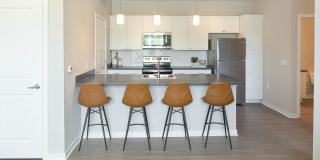 Killarney Woods Gallery 6