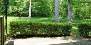 802 Oak Tree Drive Gallery 11