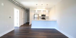 Main2525 Gallery 11